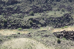 Rio-Grande-Gorge-Taos-New-Mexico-DSC01753