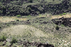 Rio-Grande-Gorge-Taos-New-Mexico-DSC01754