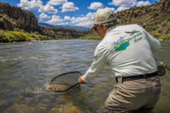 Rio-Grande-River-Fly-Angler-Netting-Trout-Taos-to-Santa-Fe