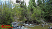 Lost-Trail-Creek-Campground-Creed-CO-Pocket-2-08-30-2022