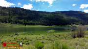 Rio-Grande-Reservoir-Fly-Fishing-Creede-CO-Pocket2-08-30-2022-vlcsnap-2023-08-27-12h24m18s450