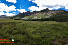 Hiking-Upper-Rio-Grande-River-Lost-Trail-Pocket2-08-30-2022-mpv-shot0001