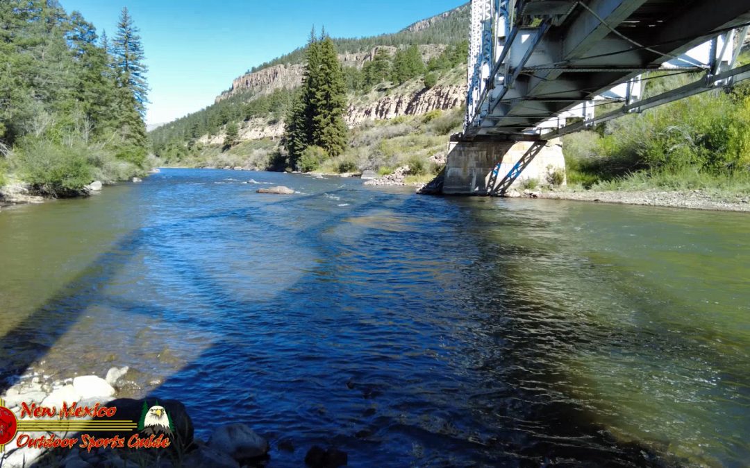 Rio Grande River Fly Fishing Public Access USFS Rd 430A August 2022